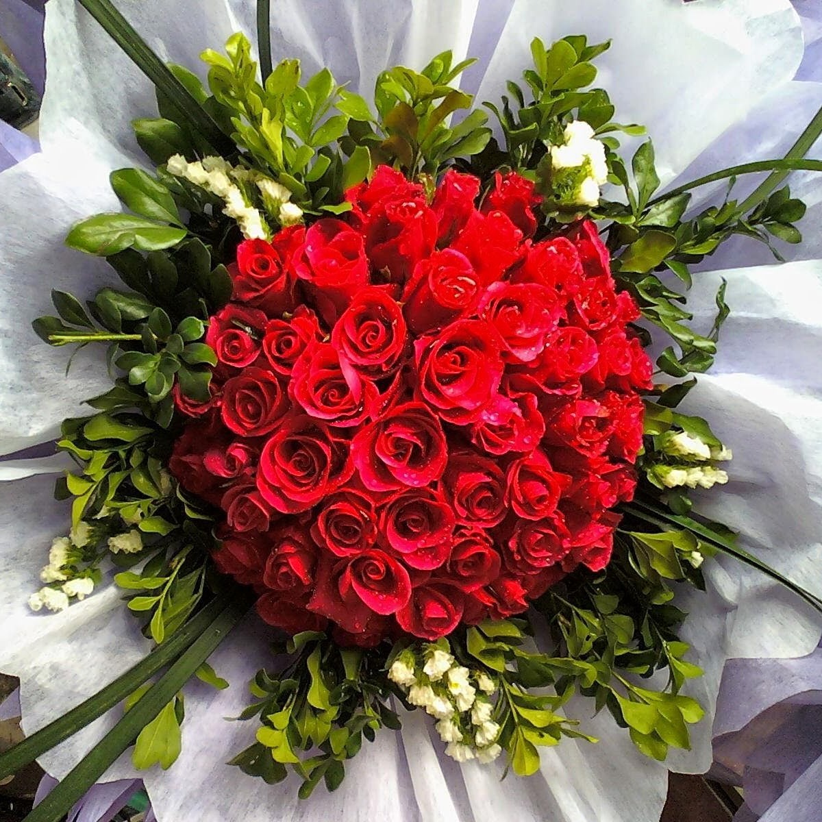 Bó hồng tình yêu - HB019